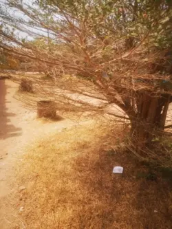 Photo de l'établissement