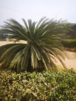 Photo de l'établissement