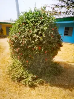 Photo de l'établissement