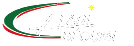 Logo du collège Alani Béoumi